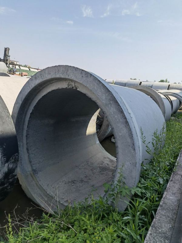 樱桃视频成人网站