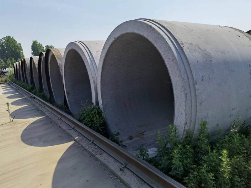 平口樱桃视频污在线看