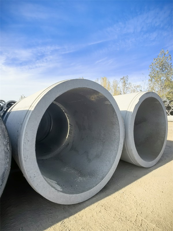 平口樱桃视频污在线看