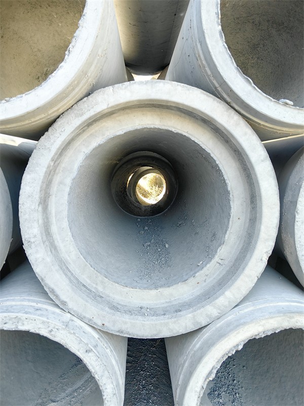 樱桃视频污在线看